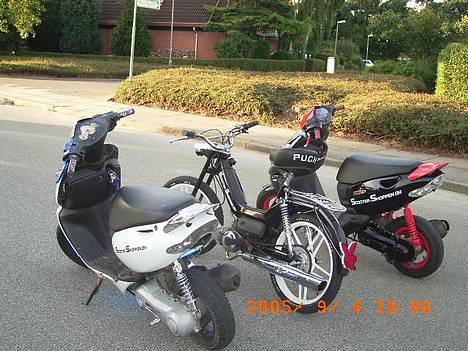 Puch maxi kl   ¤ Bling Bling ¤ - Team Black And White.. her kan man se neonlyset i daglys på min sonic(den hvide) billede 16