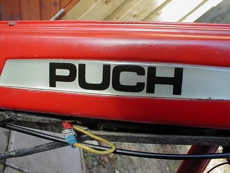 Puch Maxi *projekt* billede 1