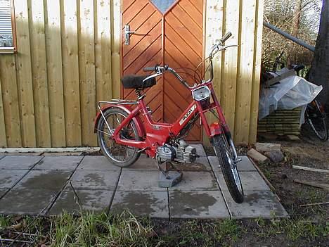 Puch Maxi *projekt* billede 2