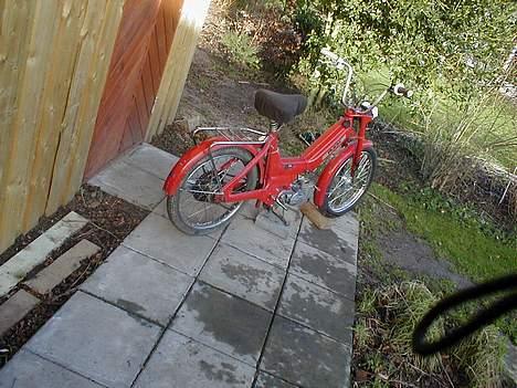 Puch Maxi *projekt* billede 3