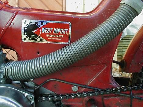 Puch Maxi *projekt* billede 4