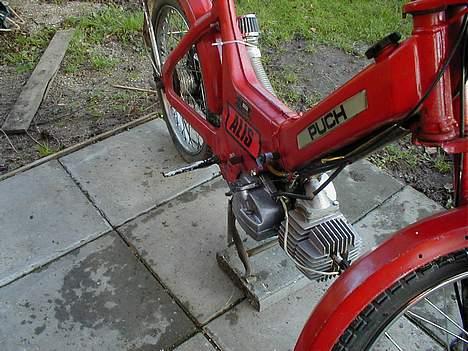 Puch Maxi *projekt* billede 5