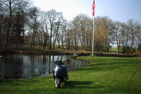 Aprilia Sonic solgt billede 13