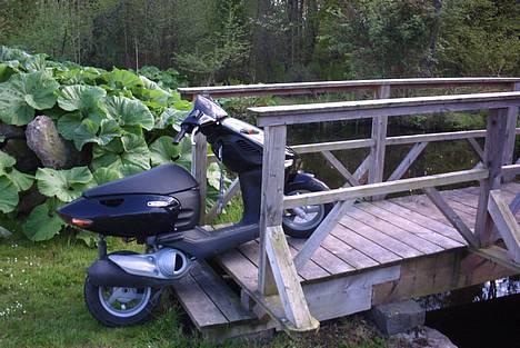 Aprilia Sonic solgt billede 14