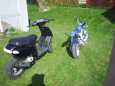 Suzuki Street Magic SOLGT billede 11