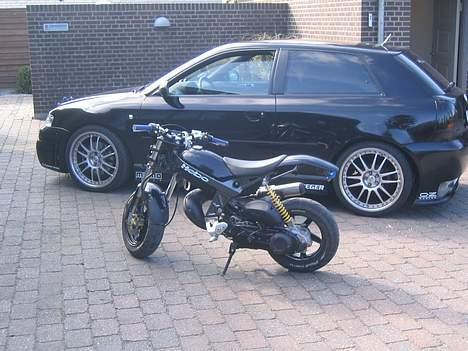 Suzuki Street magic - SOLGT billede 7