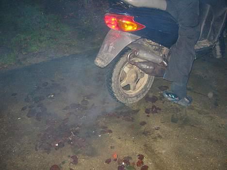 Derbi Atlantis SLOGT billede 8