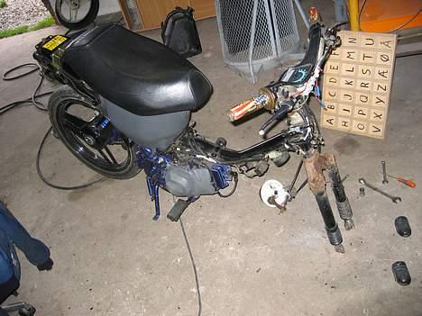 Honda wallaroo # billede 12