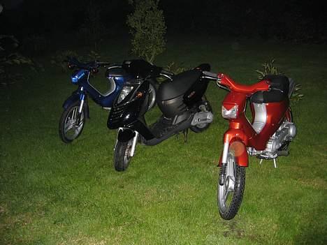 Honda wallaroo # - hehe ja her er den så samenmed familien! men sonicen blev nakket dagen efter!  billede 13