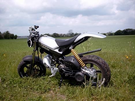 Suzuki Street Magic - Tjek nummerpladen i bagruden på min folkeræser... Bedre bevis findes vist ik :-P billede 2