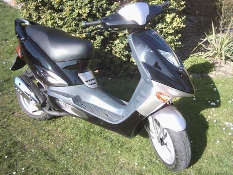 Adly Gazelle billede 1