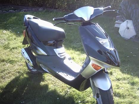 Adly Gazelle billede 2