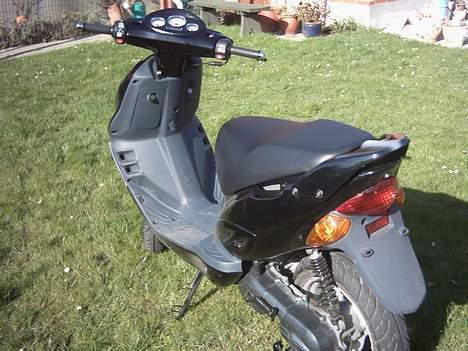 Adly Gazelle billede 3