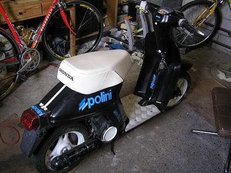 Honda Melody  - Melodyen fra siden ;) billede 1