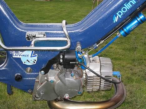 Puch Maxi p  "På Baghjul" billede 7