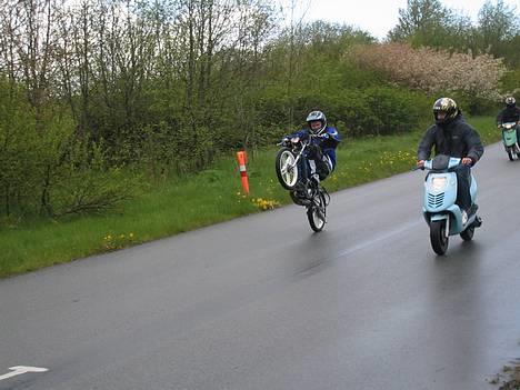 Puch Maxi p  "På Baghjul" billede 9