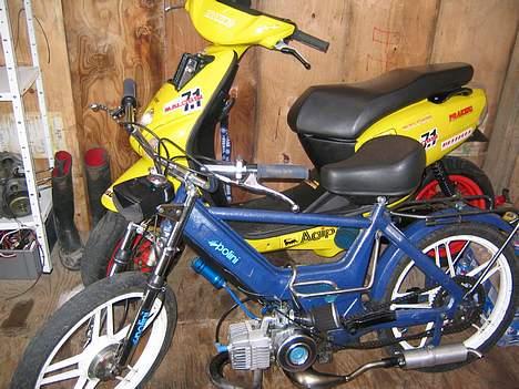 Puch Maxi p  "På Baghjul" billede 12