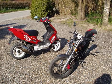 Sachs MadAss MARK ll -=SOLGT=- - Team DinglePik billede 5