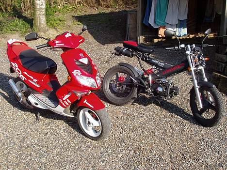 Sachs MadAss MARK ll -=SOLGT=- - Team DinglePik billede 7