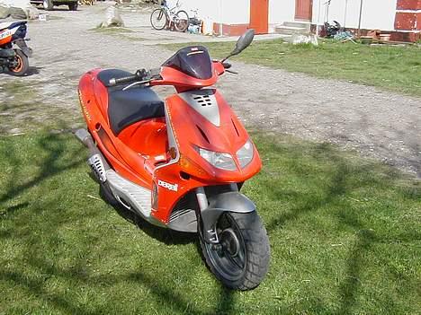 Derbi predator tilsalg/Bytte billede 1