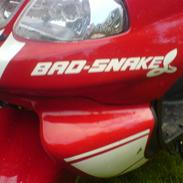 TGB Pegasus 303 r hawk bad snake (er solgt til min søster)