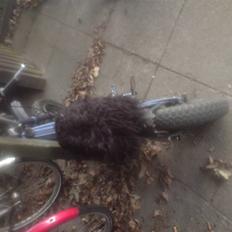 Puch maxi - BYTTET