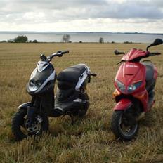 PGO Pmx Naked "Solgt"