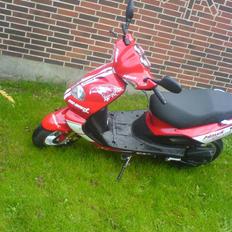 TGB Pegasus 303 r hawk bad snake (er solgt til min søster)