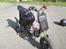 Aprilia sonic lc