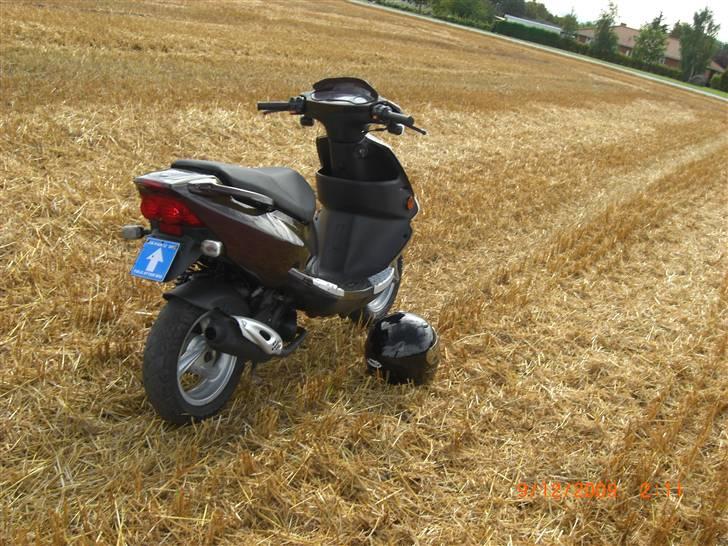 PGO Dr Big Kamælion  billede 15