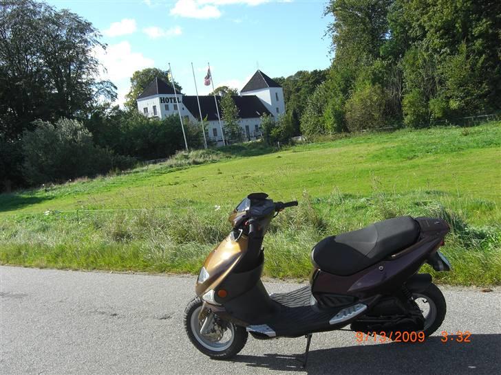 PGO Dr Big Kamælion  billede 20