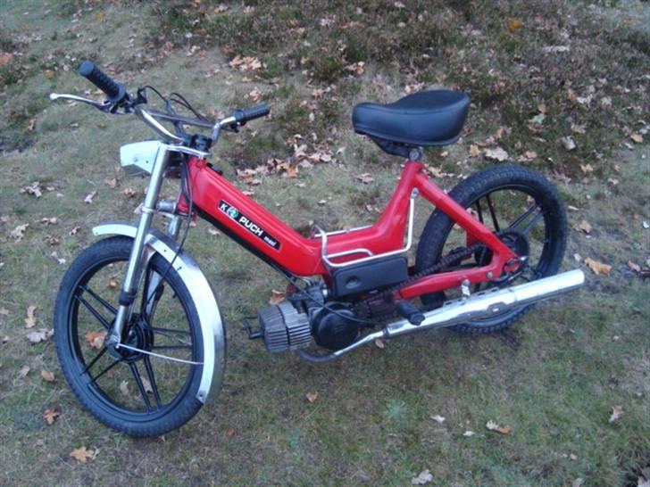 Puch Maxi K  ( byttet til bws) billede 6