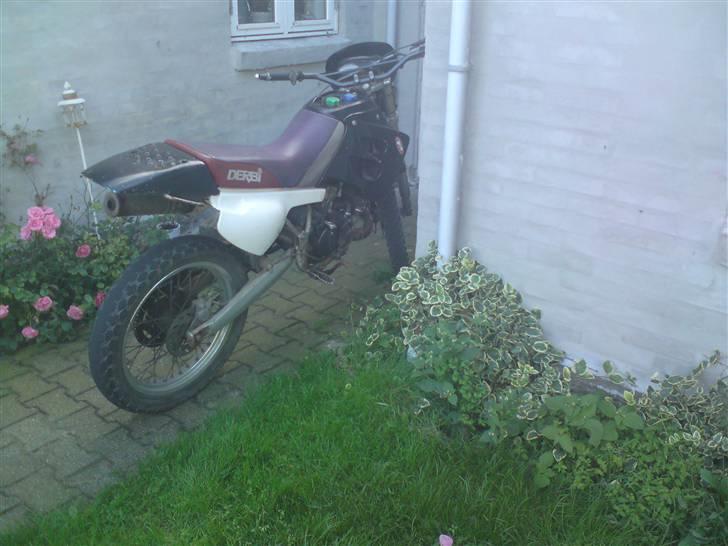 Derbi Senda  [Tidl.Scooter] billede 7