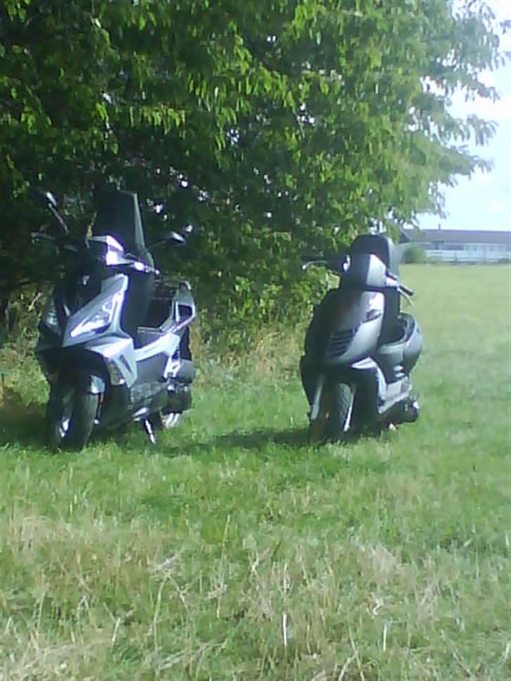 Aprilia Sonic AC SD Solgt :'( - Min og Jesper T´s SF3 billede 8