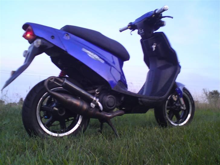 PGO Hot 50. projekt billede 12