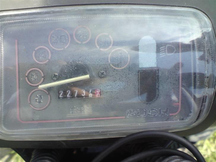 Puch maxi K billede 12