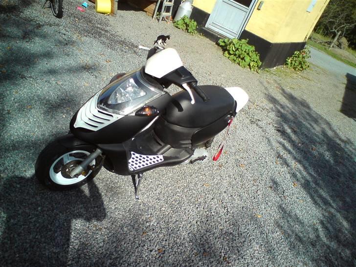 Aprilia sonic billede 1