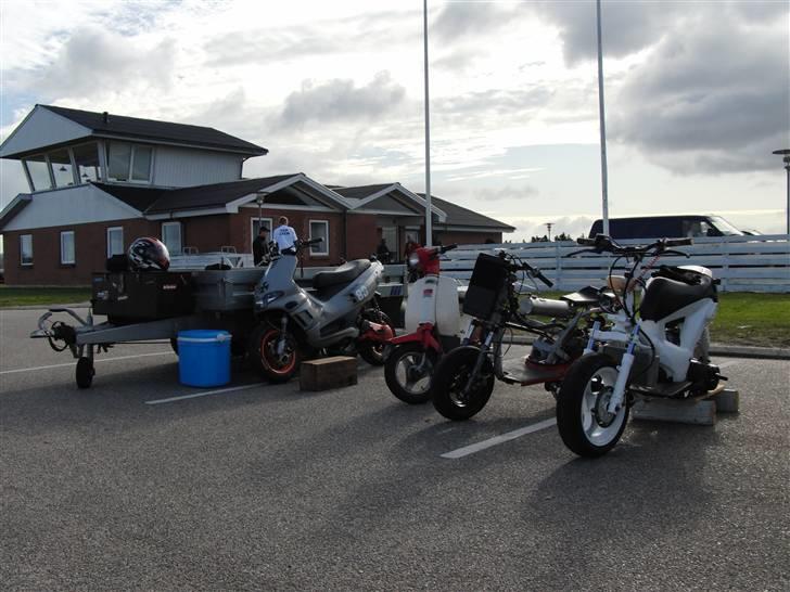 Gilera Ice- Fabrizi Maxi Evo billede 6