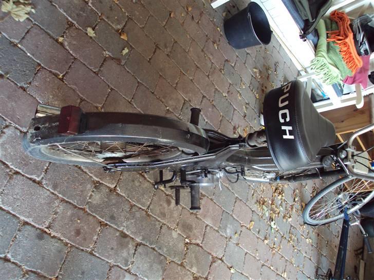 Puch Maxi Byttet med FZ´er billede 3