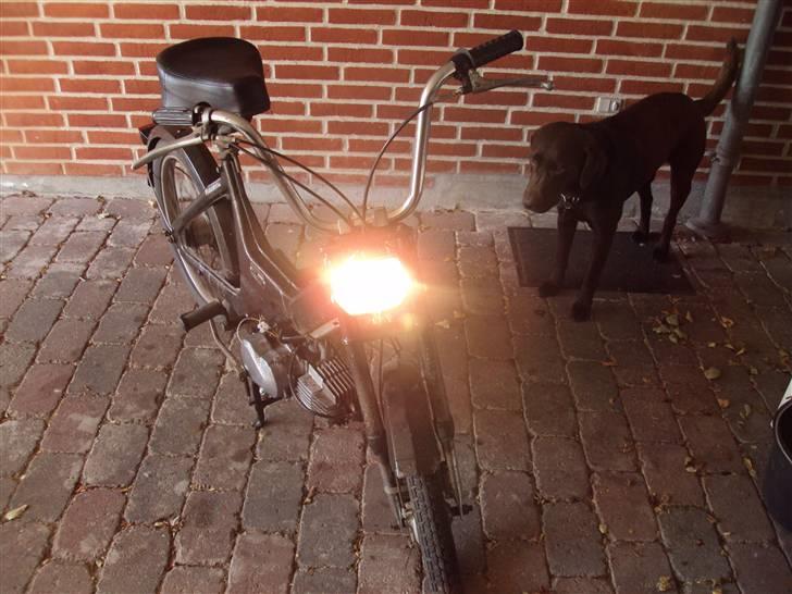 Puch Maxi Byttet med FZ´er billede 5
