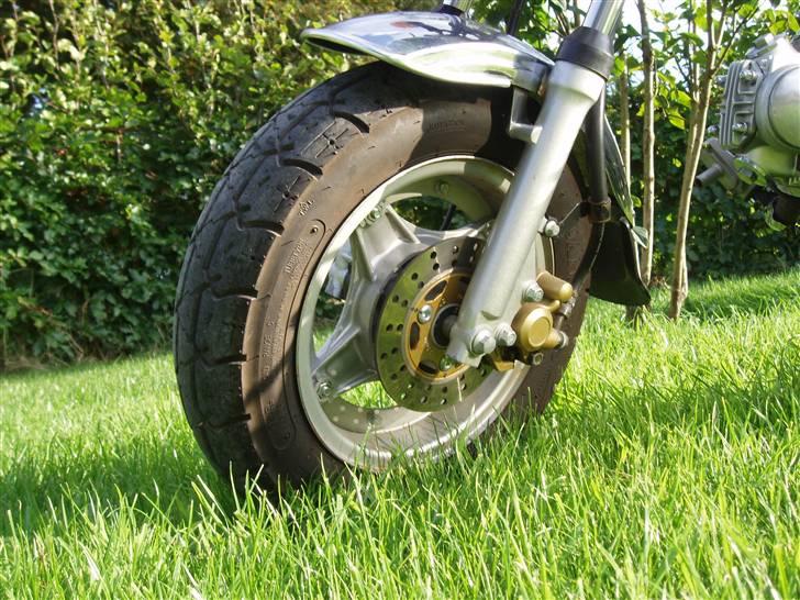 Skyteam Dax (Solgt) billede 3