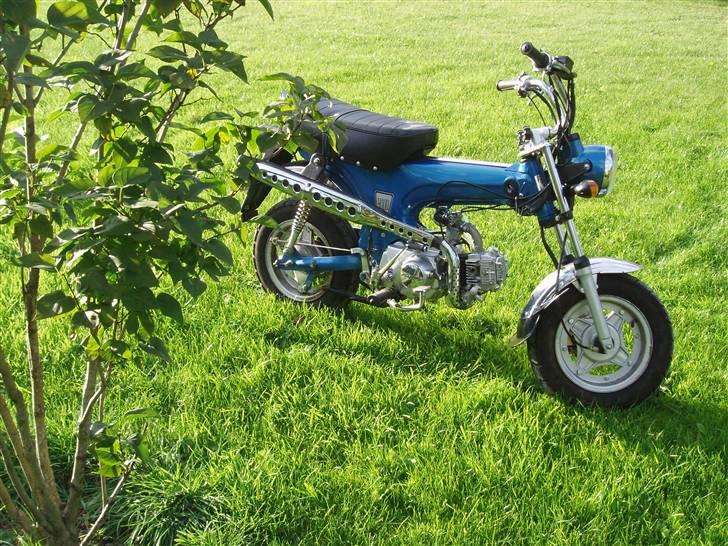 Skyteam Dax (Solgt) billede 5