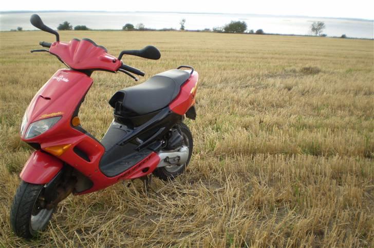 Peugeot Speedfight "SOLGT" billede 9