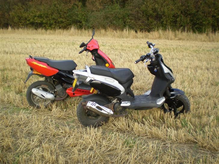 Peugeot Speedfight "SOLGT" billede 12