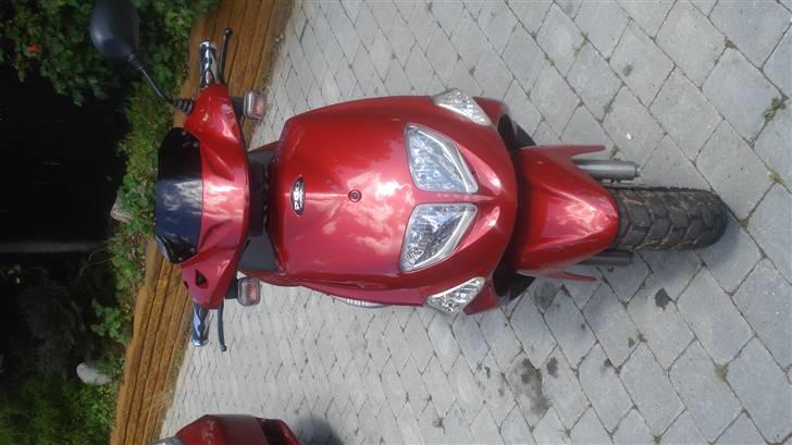 PGO Dr.big billede 3