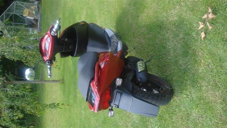 PGO Dr.big billede 5