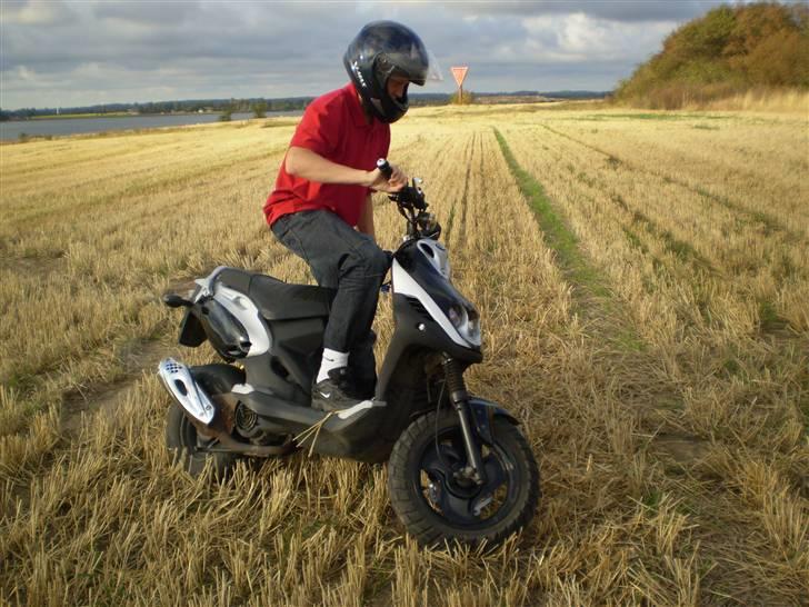 PGO Pmx Naked "Solgt" billede 5