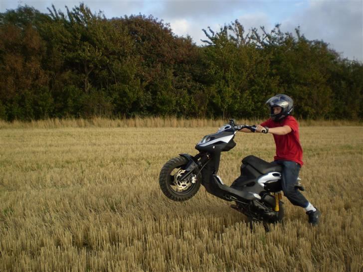 PGO Pmx Naked "Solgt" billede 6