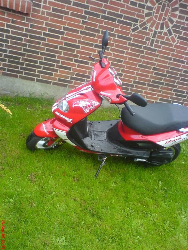 TGB Pegasus 303 r hawk bad snake (er solgt til min søster) billede 2