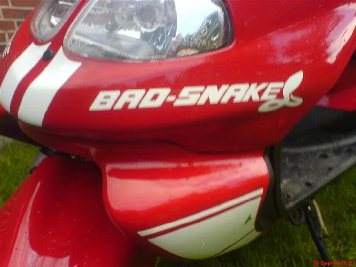 TGB Pegasus 303 r hawk bad snake (er solgt til min søster) billede 4